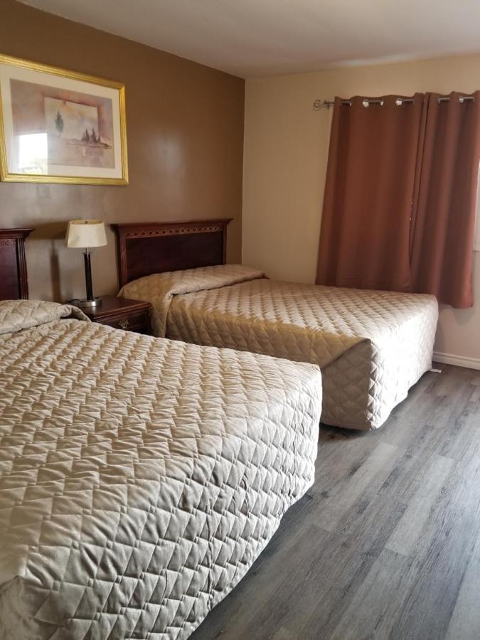 Richard Lake Motel Coniston Dış mekan fotoğraf